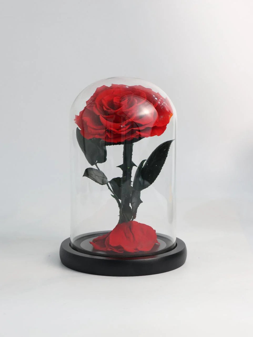 Red Infinity Rose (Small)