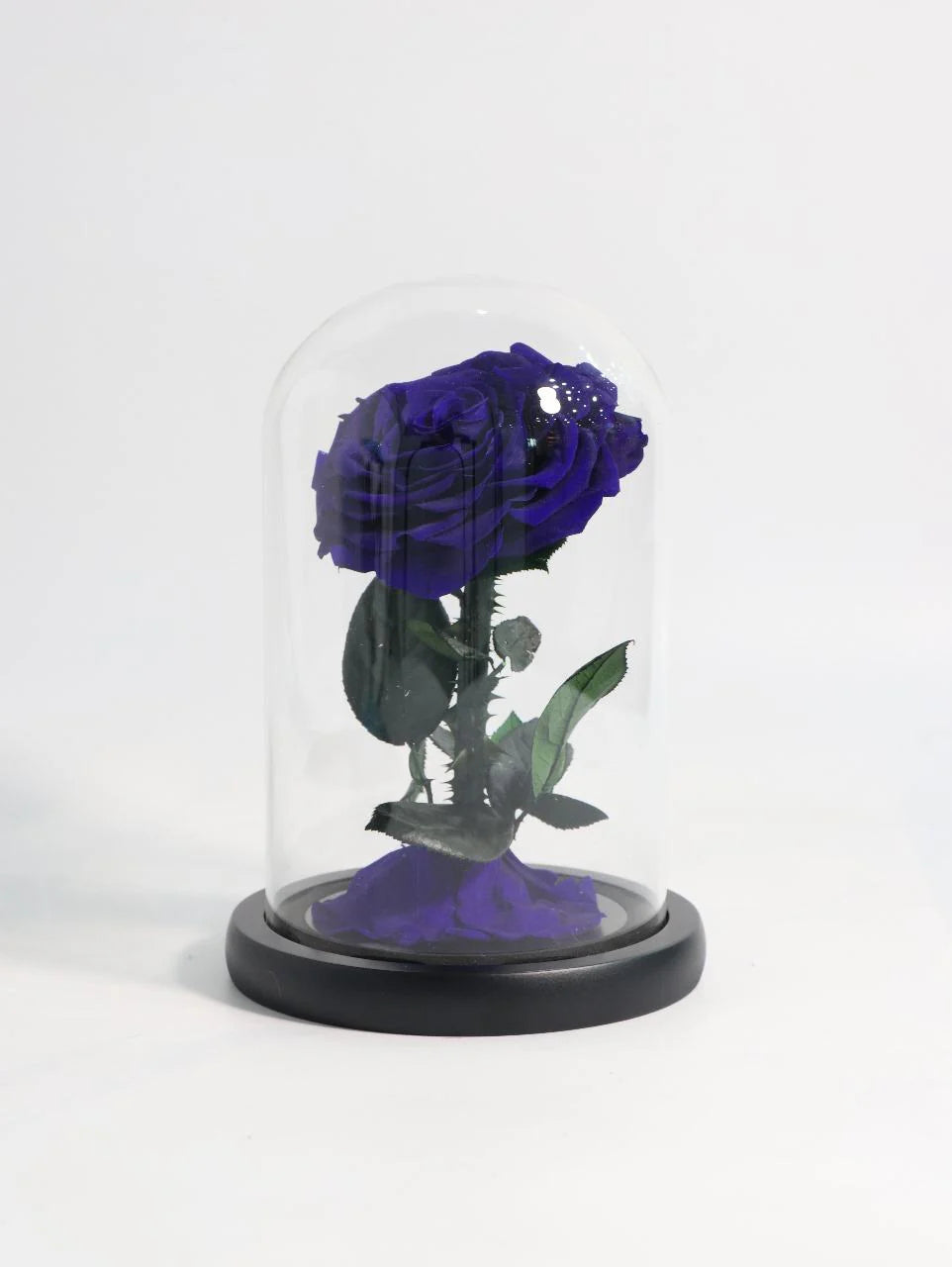 Blue Infinity Rose (Small)