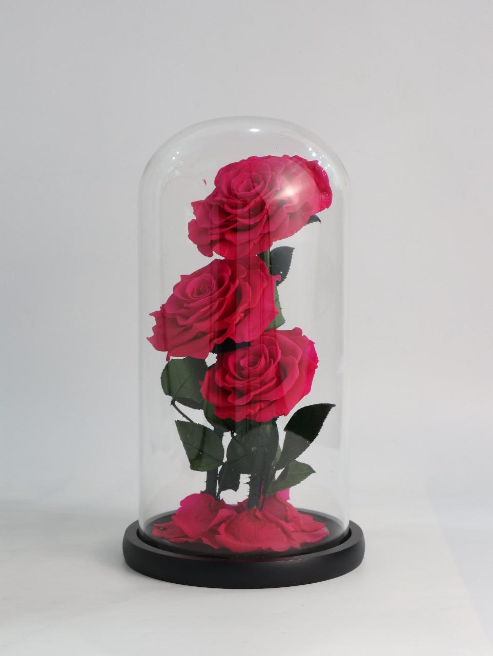 Red Infinity Rose (Large)