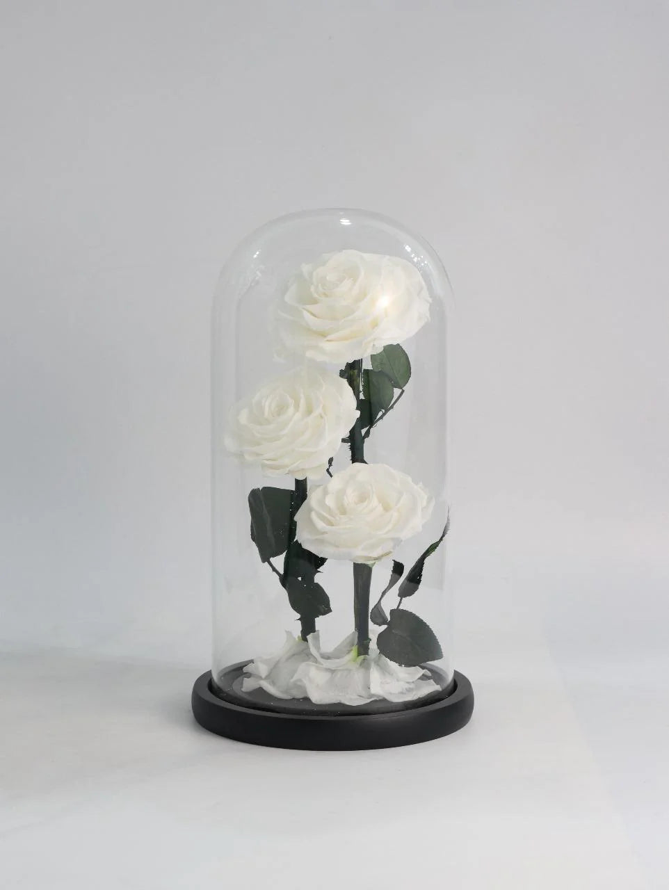 White Infinity Rose (Large)